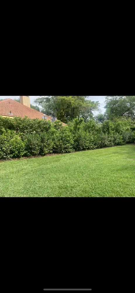 Custom lawn mowing service with custom design across Apopka, FL - Sebastian Landscape Design