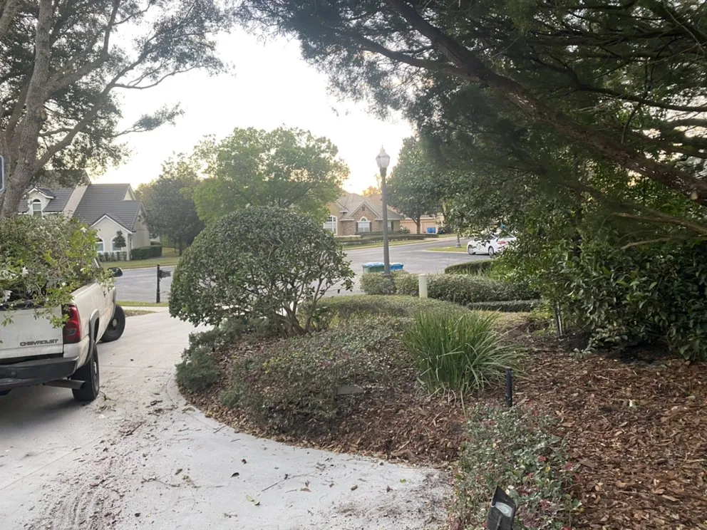 Custom lawn care service near you across Apopka, FL - Sebastian Landscape Design