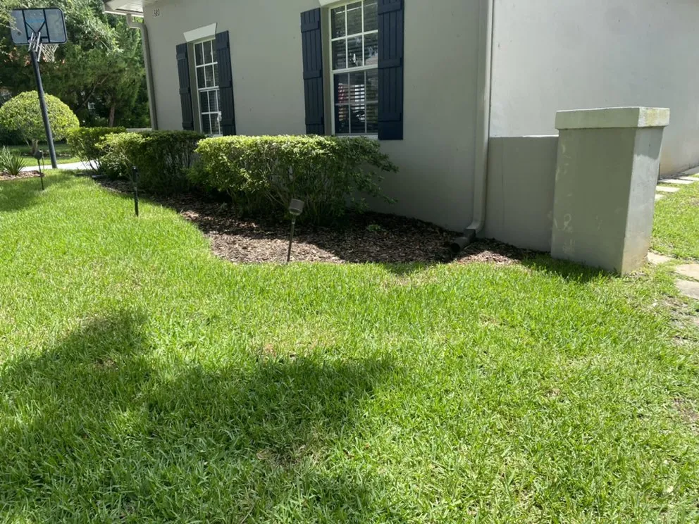 Expert landscaping services for outdoor upgrades across Apopka, FL - Sebastian Landscape Design