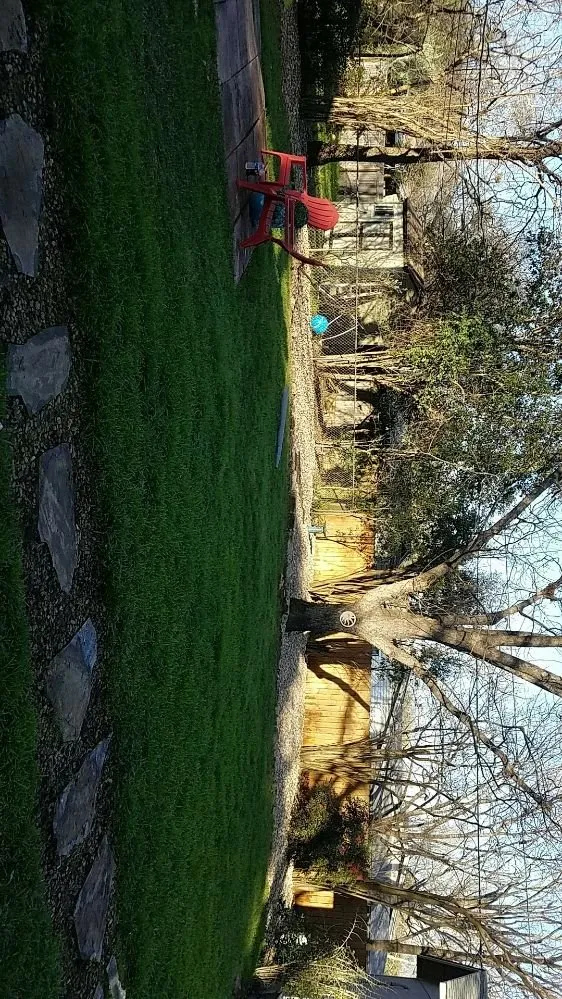 Custom lawn mowing service in Austin, TX - Sebastian Landscaping And Tree Service