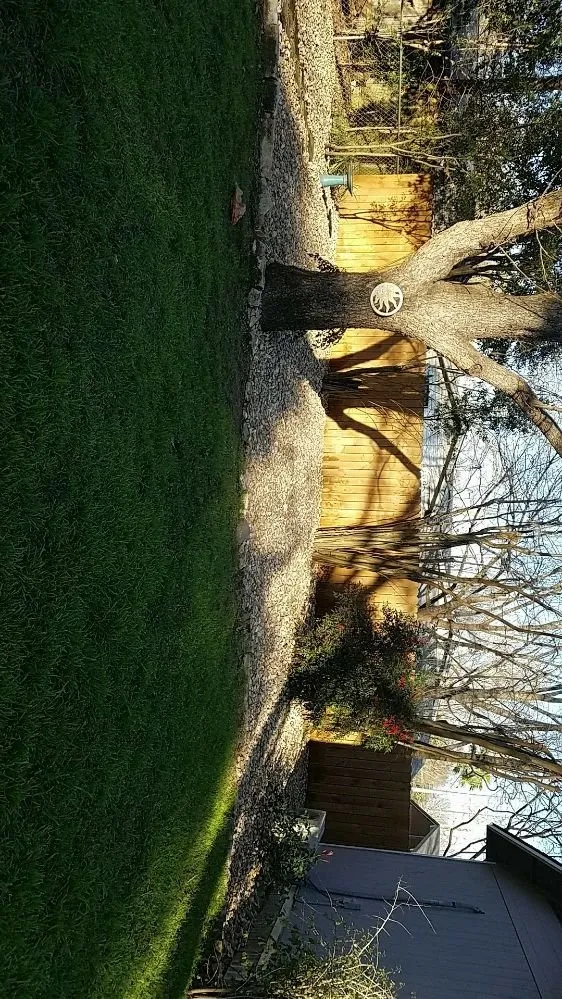 Affordable residential landscaping experts serving Austin, TX - Sebastian Landscaping And Tree Service