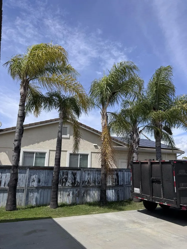 Affordable residential landscaping in Fallbrook, CA by Sebastian Landscaping &Tree service