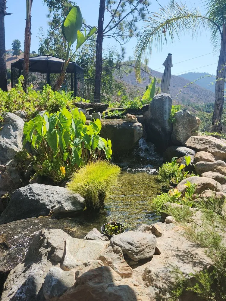 Custom garden landscaping in Fallbrook, CA - Sebastian Landscaping &Tree service