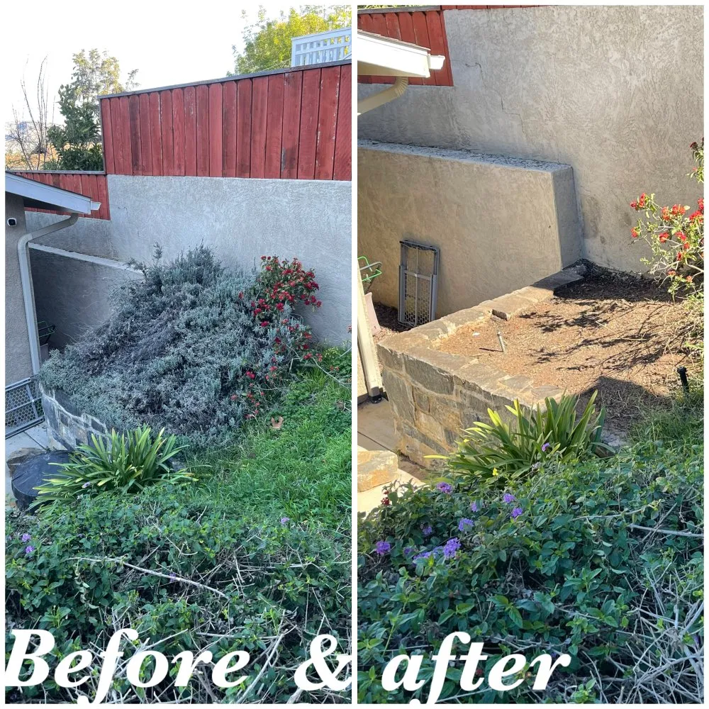 Professional yard maintenance in Fallbrook, CA - Sebastian Landscaping &Tree service
