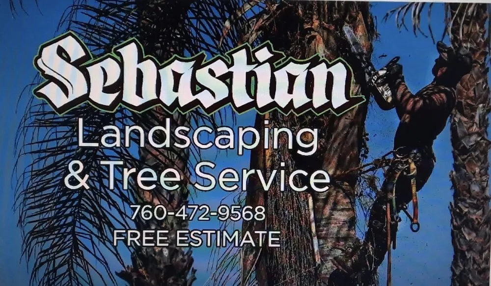 Top-rated residential landscaping experts serving Fallbrook, CA - Sebastian Landscaping &Tree service