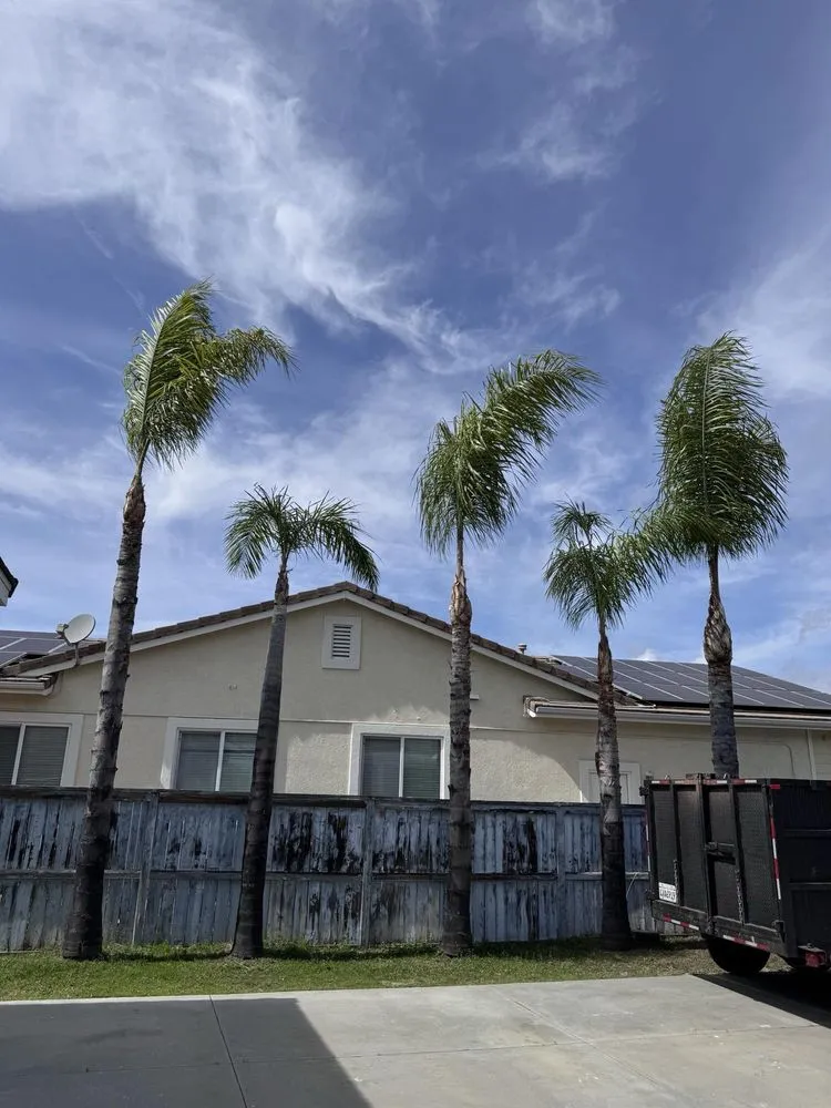 Affordable yard cleanup service experts serving Fallbrook, CA - Sebastian Landscaping &Tree service