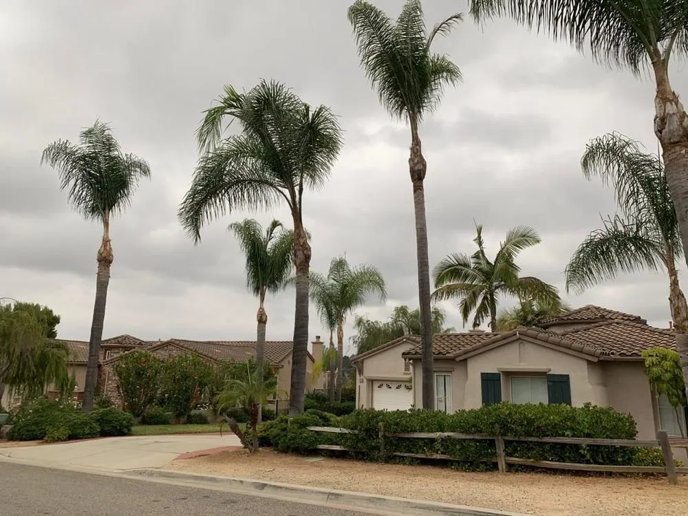 Expert residential landscaping for beautiful yards in Fallbrook, CA by Sebastian Landscaping &Tree service