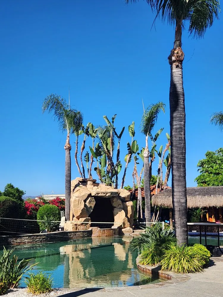 Trusted landscaping services for year-round maintenance across Fallbrook, CA - Sebastian Landscaping &Tree service