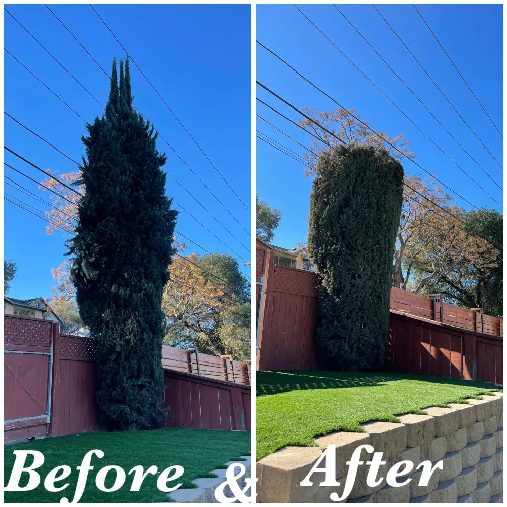 Top-rated residential landscaping experts serving Fallbrook, CA - Sebastian Landscaping &Tree service