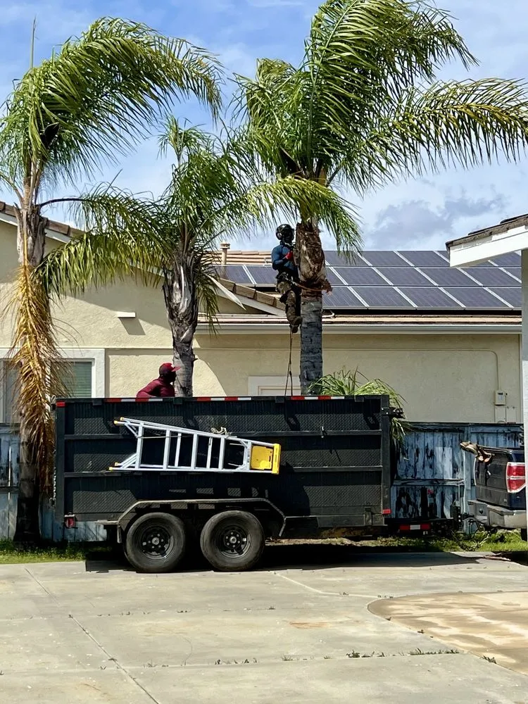 Local landscape installation in Fallbrook, CA by Sebastian Landscaping &Tree service