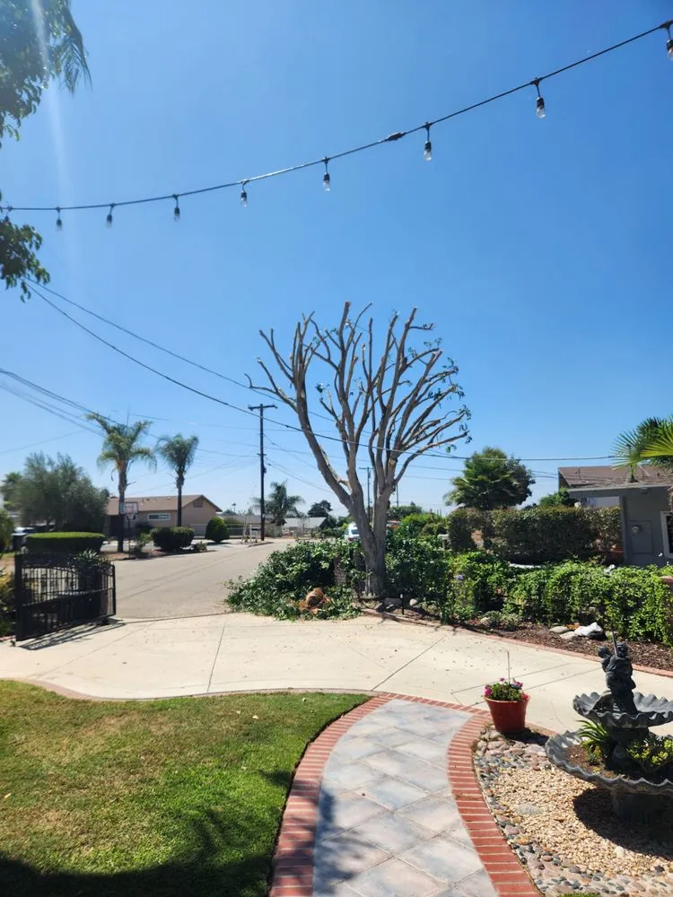 Expert lawn mowing service for year-round maintenance in Fallbrook, CA by Sebastian Landscaping &Tree service