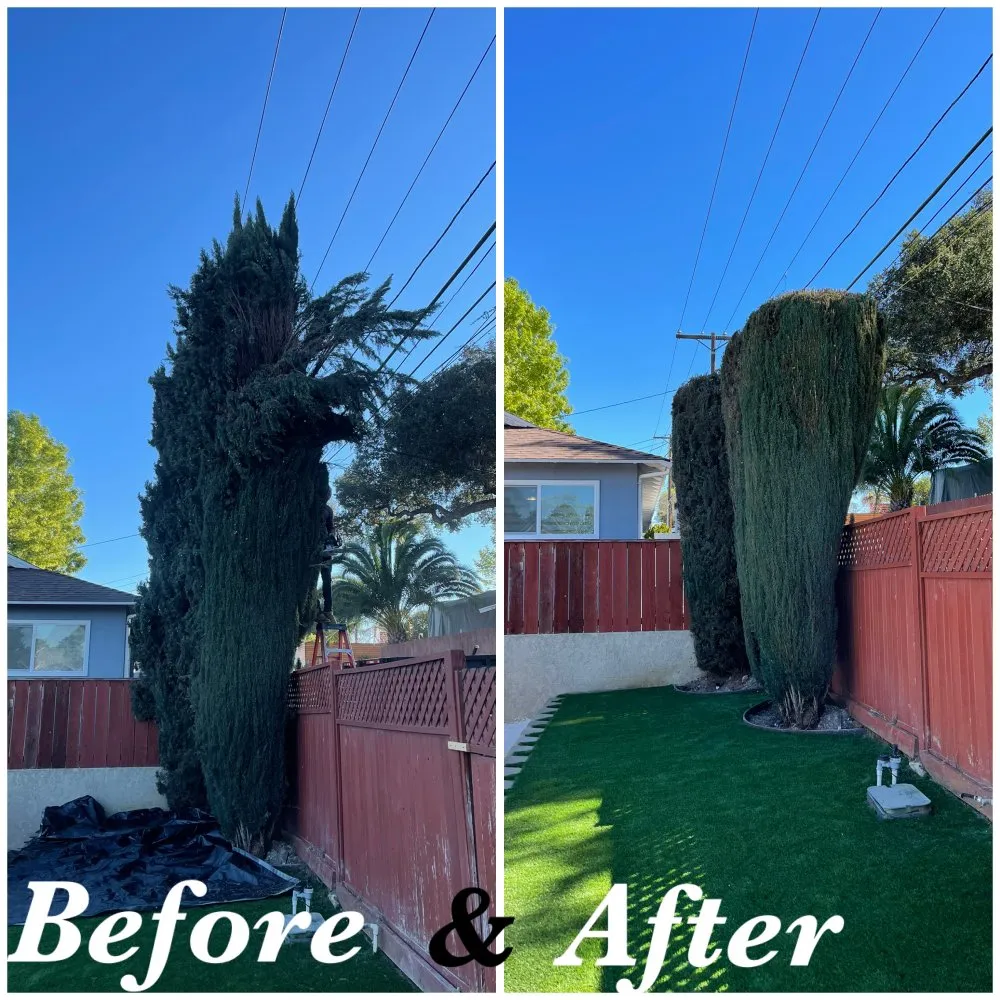 Expert residential landscaping in Fallbrook, CA by Sebastian Landscaping &Tree service