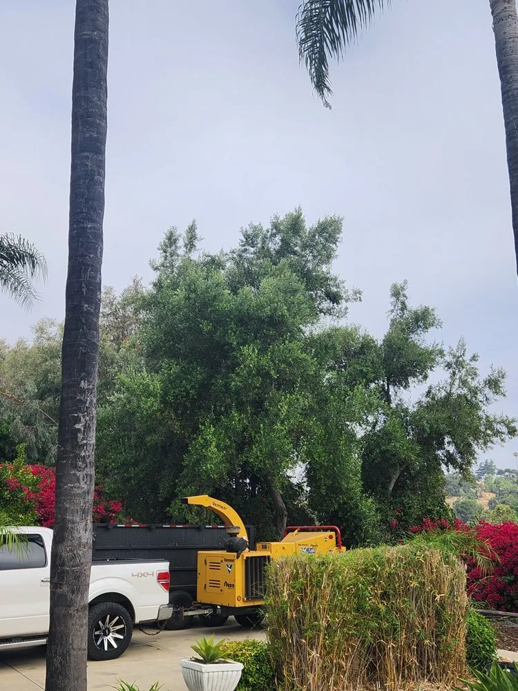 Expert residential landscaping experts serving Fallbrook, CA - Sebastian Landscaping &Tree service