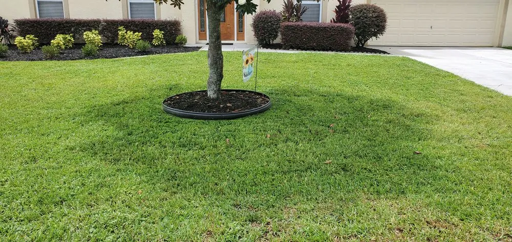 Trusted yard maintenance experts serving Eustis, FL - Sebastian Lawn & Landscaping service