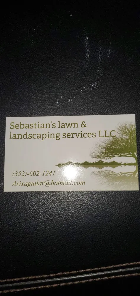 Expert yard cleanup service in Eustis, FL by Sebastian Lawn & Landscaping service