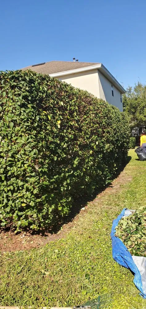 Professional lawn care service experts serving Eustis, FL - Sebastian Lawn & Landscaping service