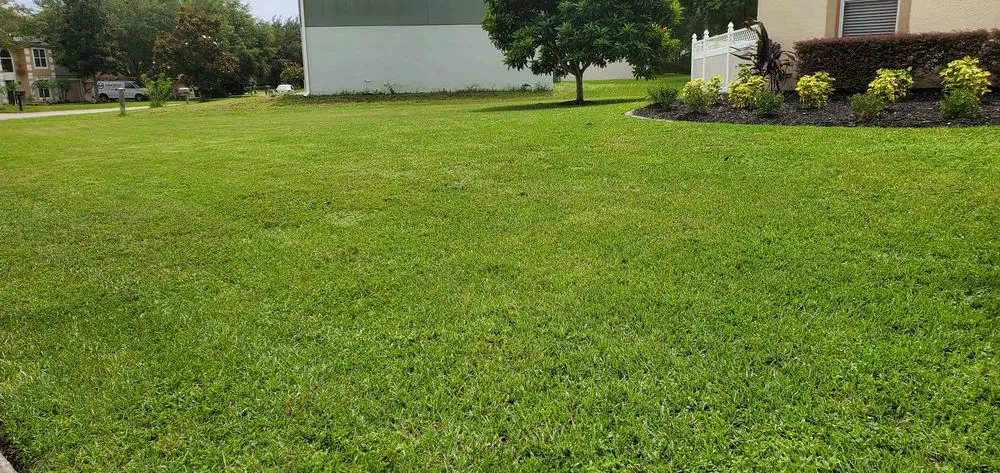 Affordable landscape design for beautiful yards across Eustis, FL - Sebastian Lawn & Landscaping service