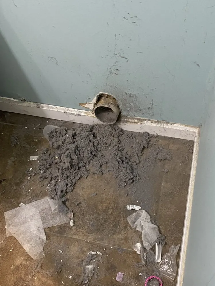 Expert garden landscaping experts serving Burlington, KY - Sebastian Services