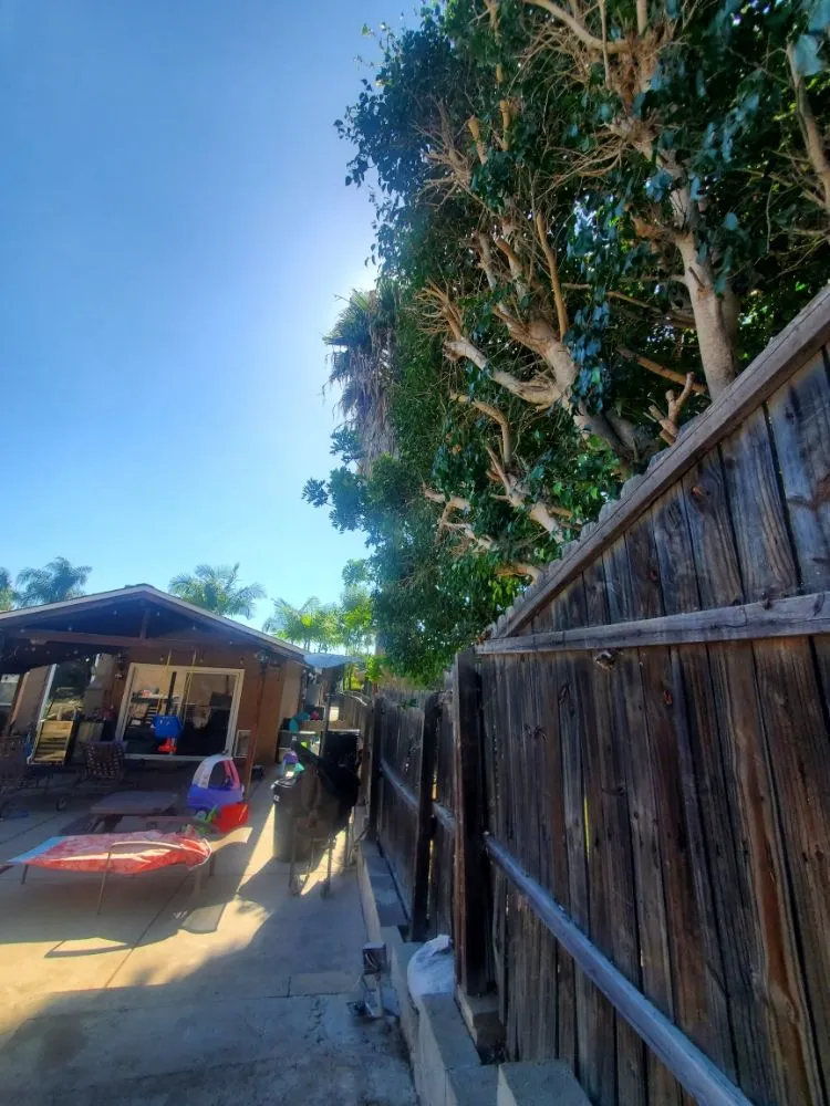 Custom yard cleanup service experts serving El Cajon, CA - Sebastian's Landscape