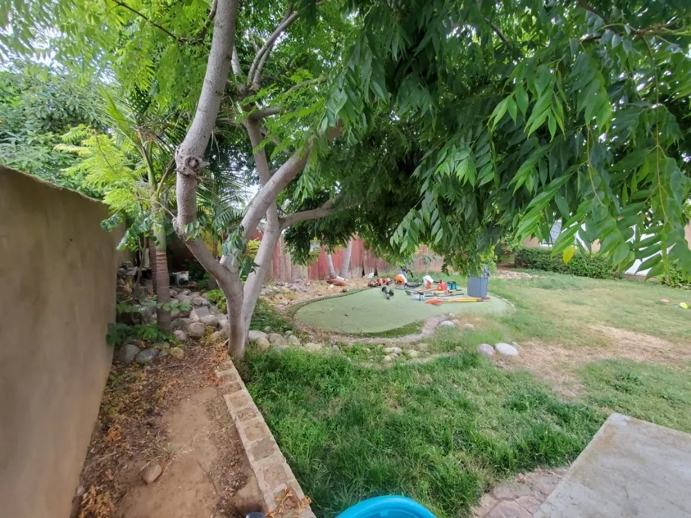 Trusted yard maintenance for residential properties in El Cajon, CA by Sebastian's Landscape