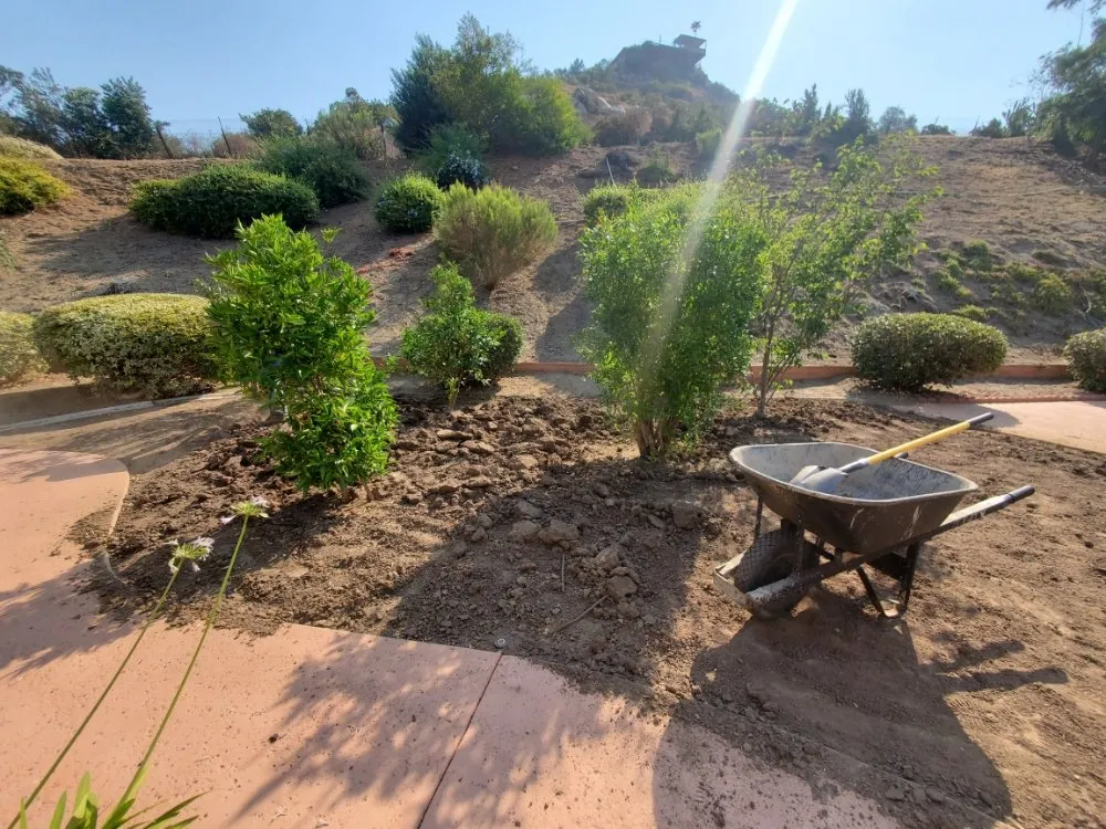 Local landscape installation near you in El Cajon, CA by Sebastian's Landscape
