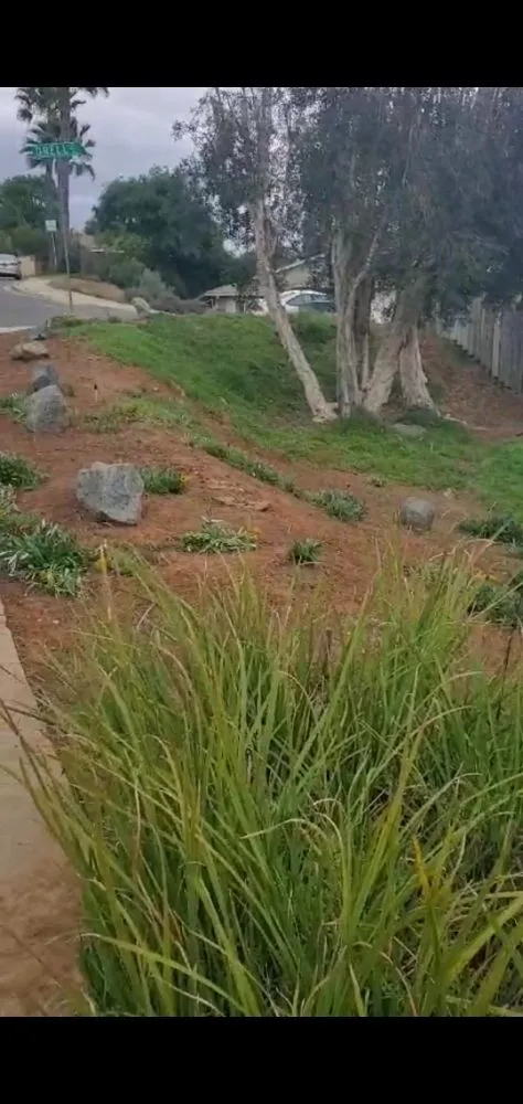 Professional lawn mowing service experts serving El Cajon, CA - Sebastian's Landscape