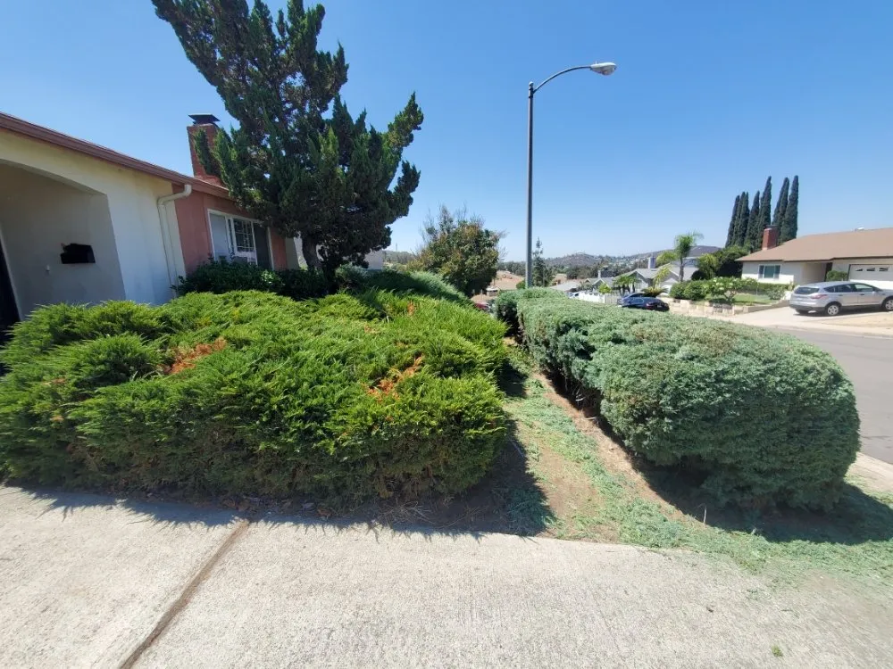 Professional landscape installation for beautiful yards in El Cajon, CA by Sebastian's Landscape