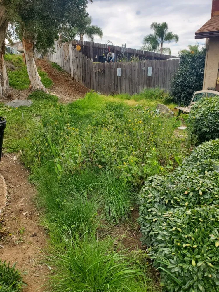 Local landscaping services in El Cajon, CA - Sebastian's Landscape