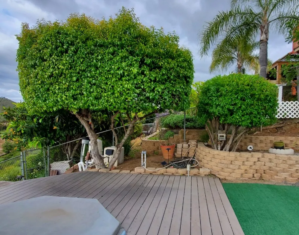Custom landscaping services for beautiful yards across El Cajon, CA - Sebastian's Landscape