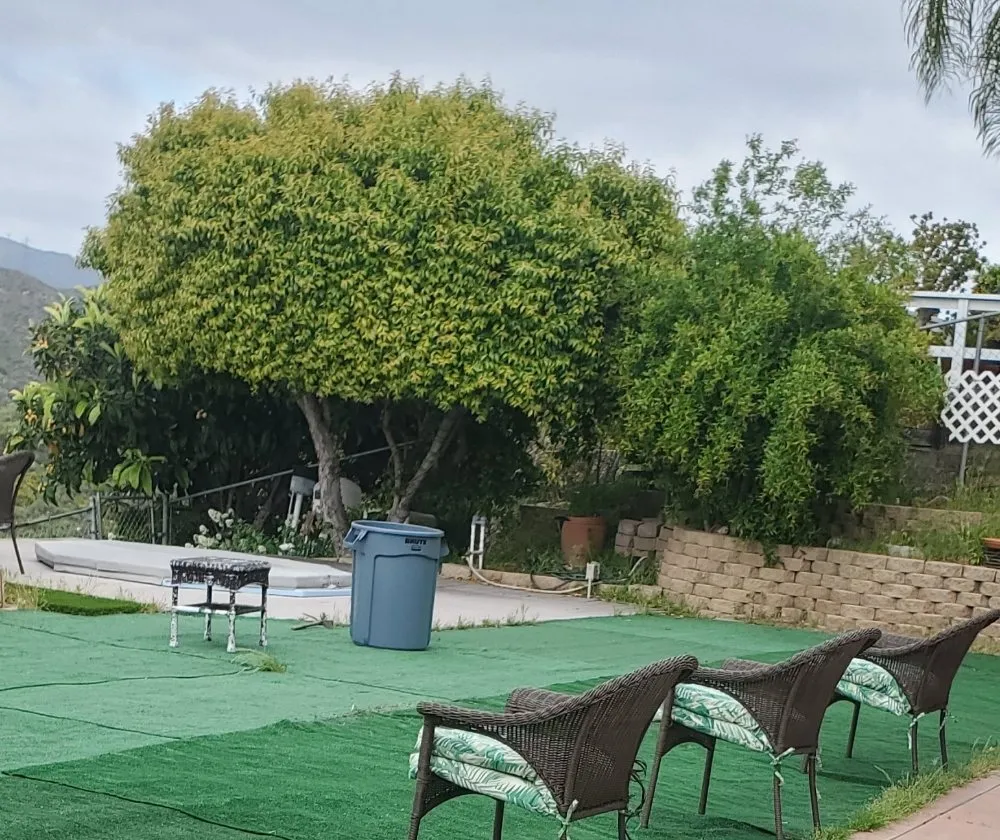 Top-rated landscape design experts serving El Cajon, CA - Sebastian's Landscape