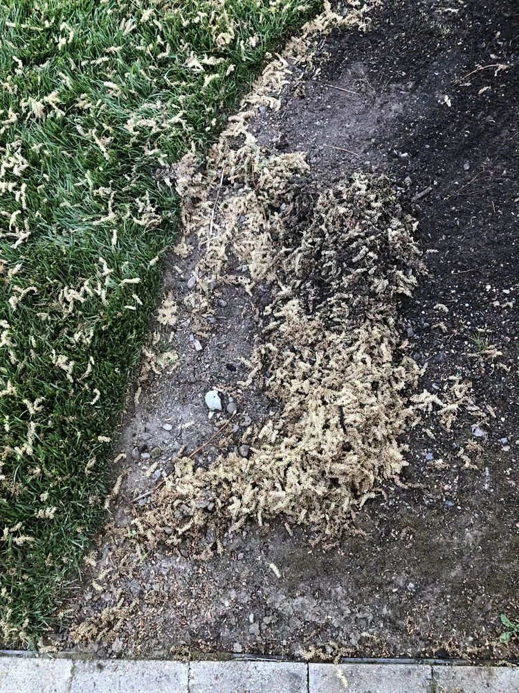 Top-rated outdoor landscaping near you across Eagle Point, OR - Sebastian's Landscaping