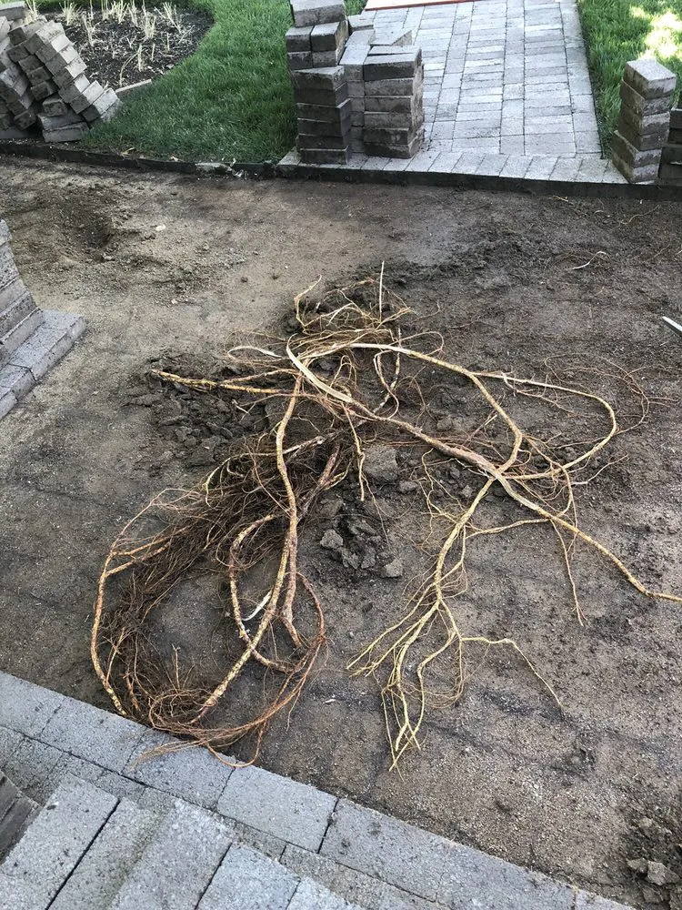 Custom lawn care service near you across Eagle Point, OR - Sebastian's Landscaping