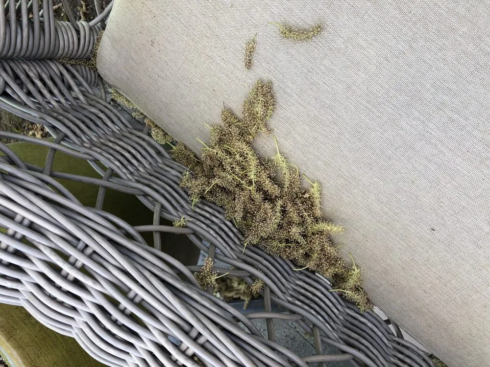 Professional landscape design in Eagle Point, OR by Sebastian's Landscaping