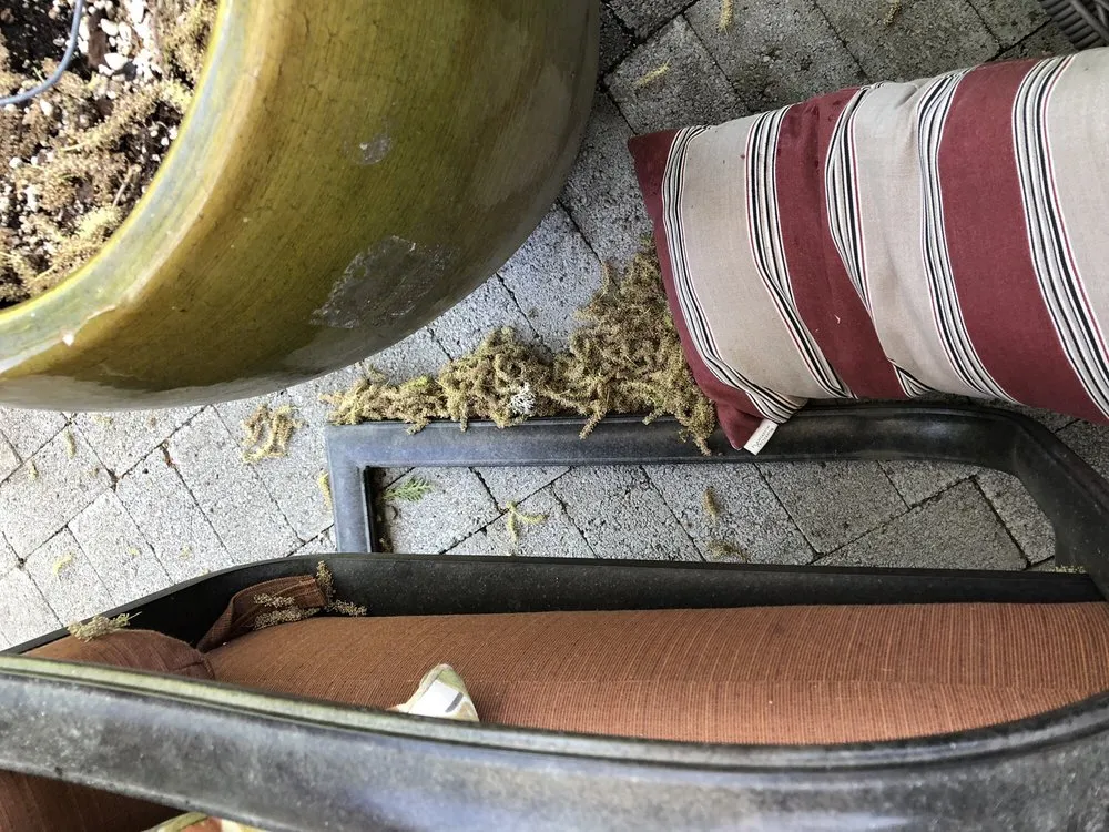 Local landscape design experts serving Eagle Point, OR - Sebastian's Landscaping