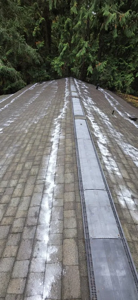 Custom yard cleanup service in Poulsbo, WA by Sebastian's Landscaping