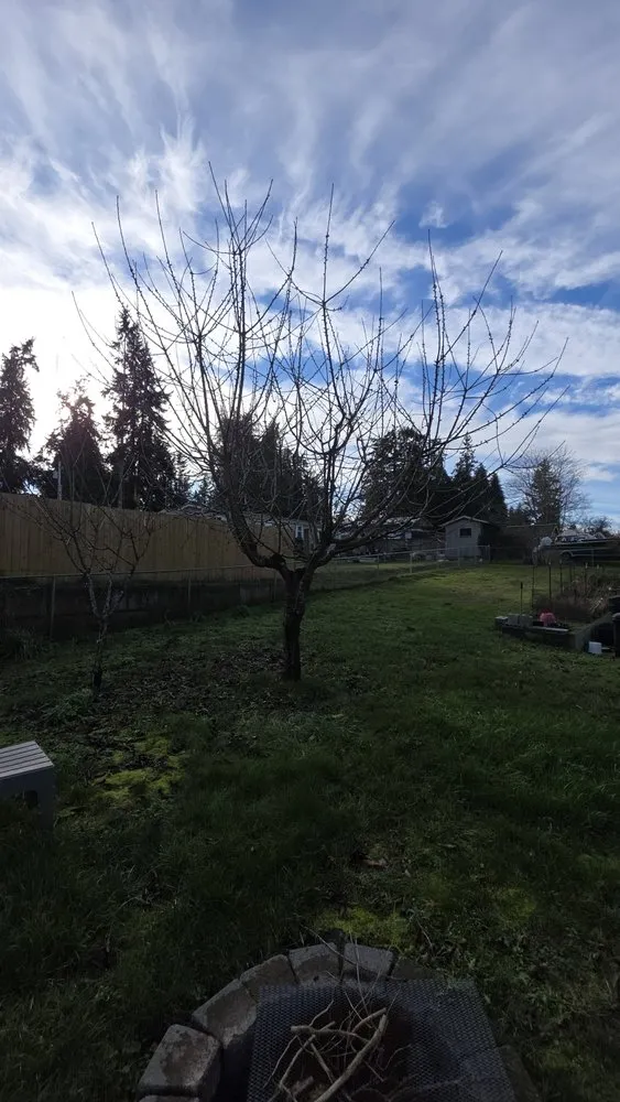 Top-rated yard maintenance for year-round maintenance in Poulsbo, WA by Sebastian's Landscaping