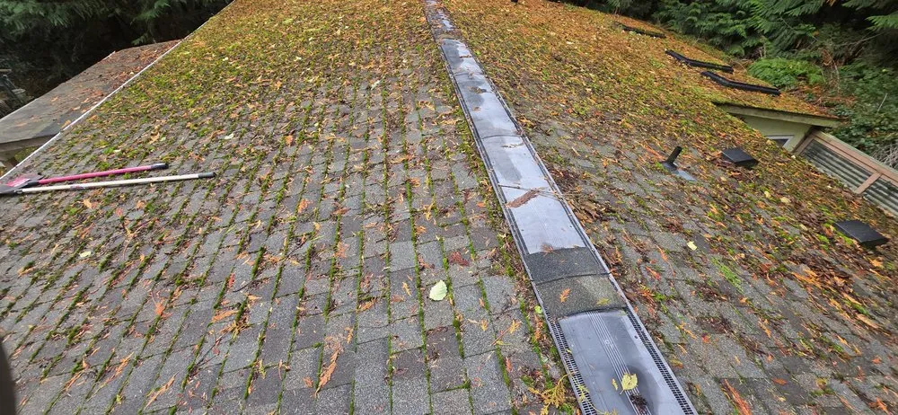 Trusted garden landscaping experts serving Poulsbo, WA - Sebastian's Landscaping