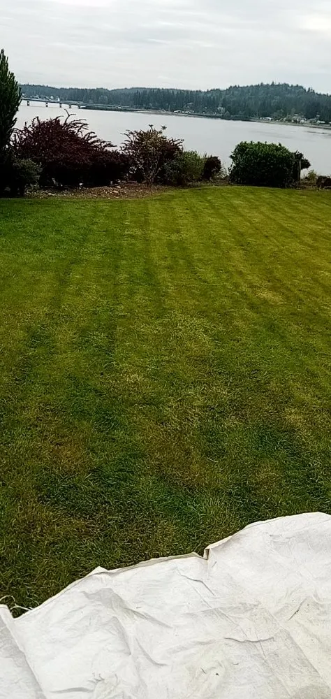 Trusted lawn care service experts serving Lakewood, WA - Sebastian's lawn Care and pressure washing service