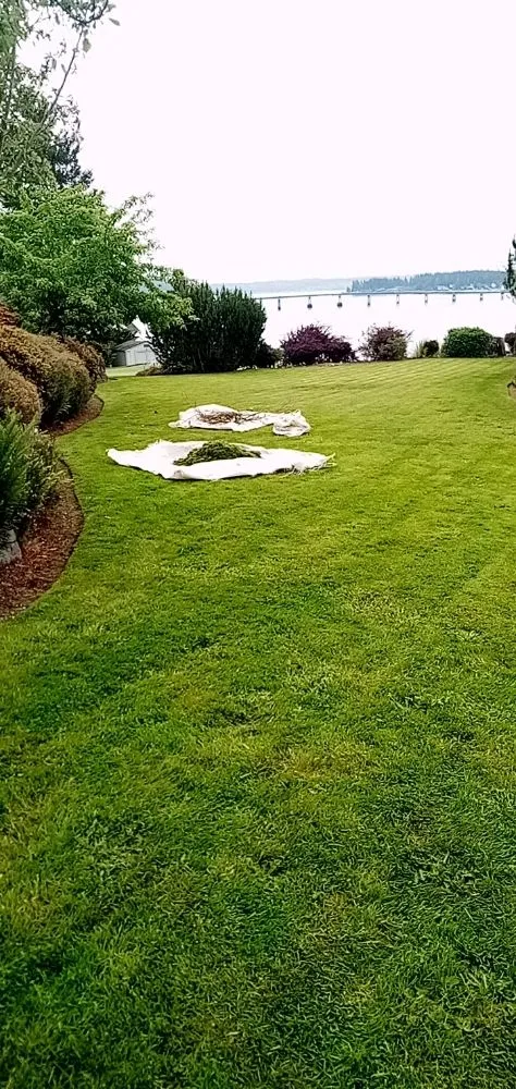 Affordable landscaping services in Lakewood, WA by Sebastian's lawn Care and pressure washing service