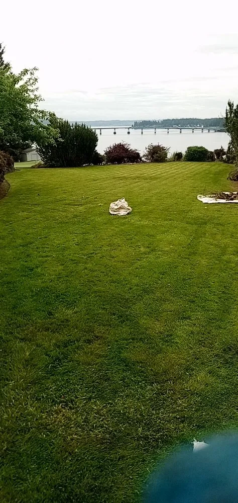 Expert landscape installation in Lakewood, WA by Sebastian's lawn Care and pressure washing service