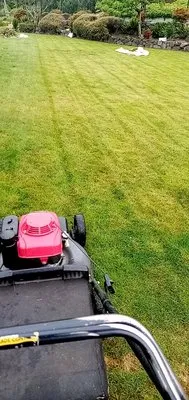 Sebastian's lawn Care and pressure washing service Logo