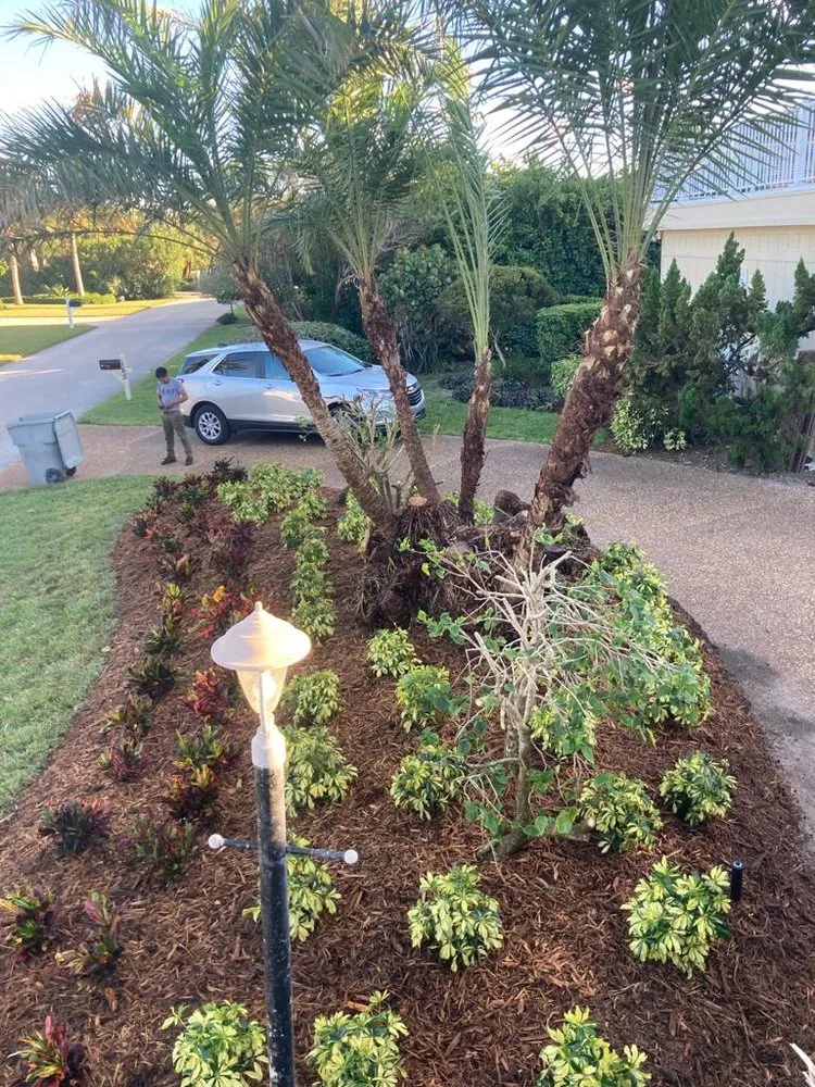 Reliable landscape design experts serving Indiantown, FL - Sebastians Tropical Landscape & Design