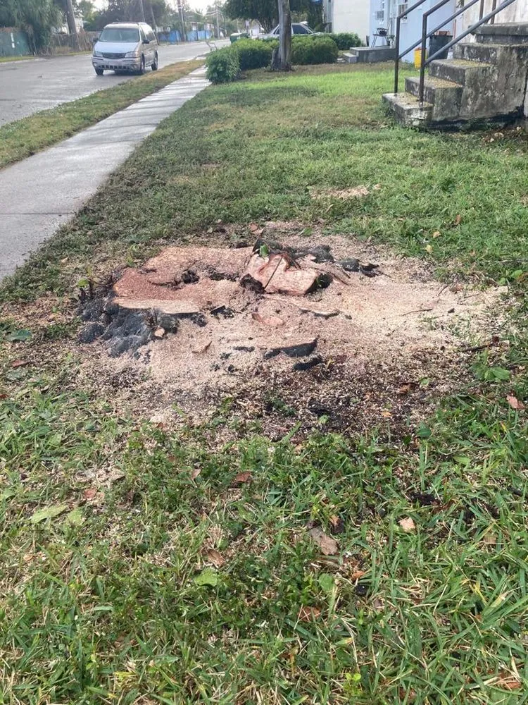 Top-rated landscape design for residential properties across Indiantown, FL - Sebastians Tropical Landscape & Design