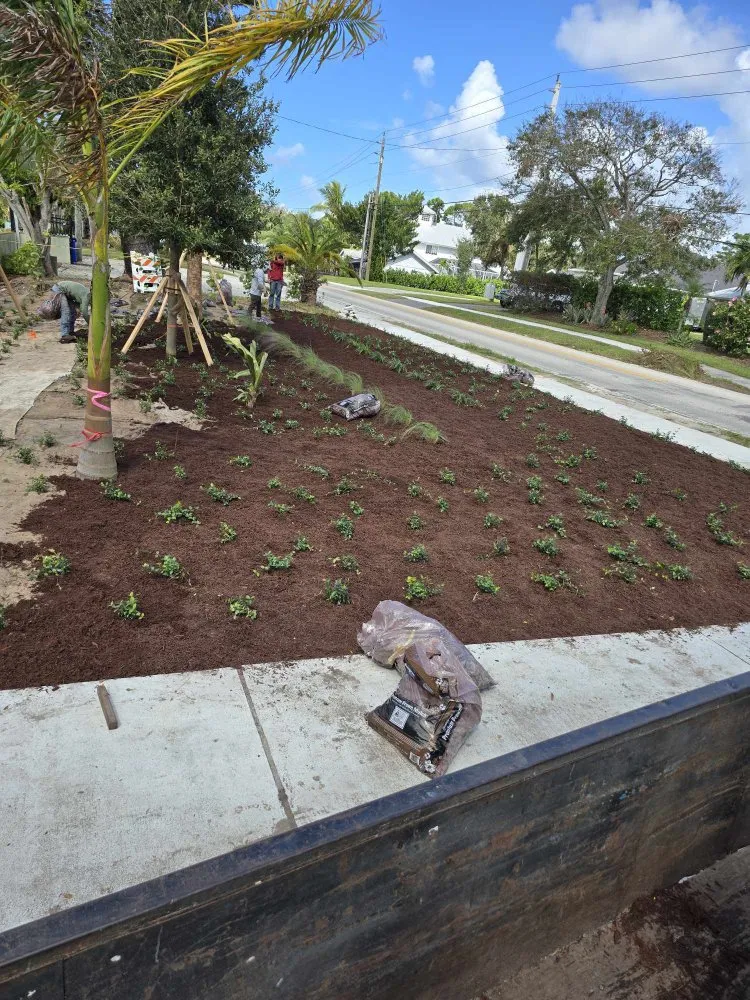 Affordable residential landscaping near you in Indiantown, FL by Sebastians Tropical Landscape & Design