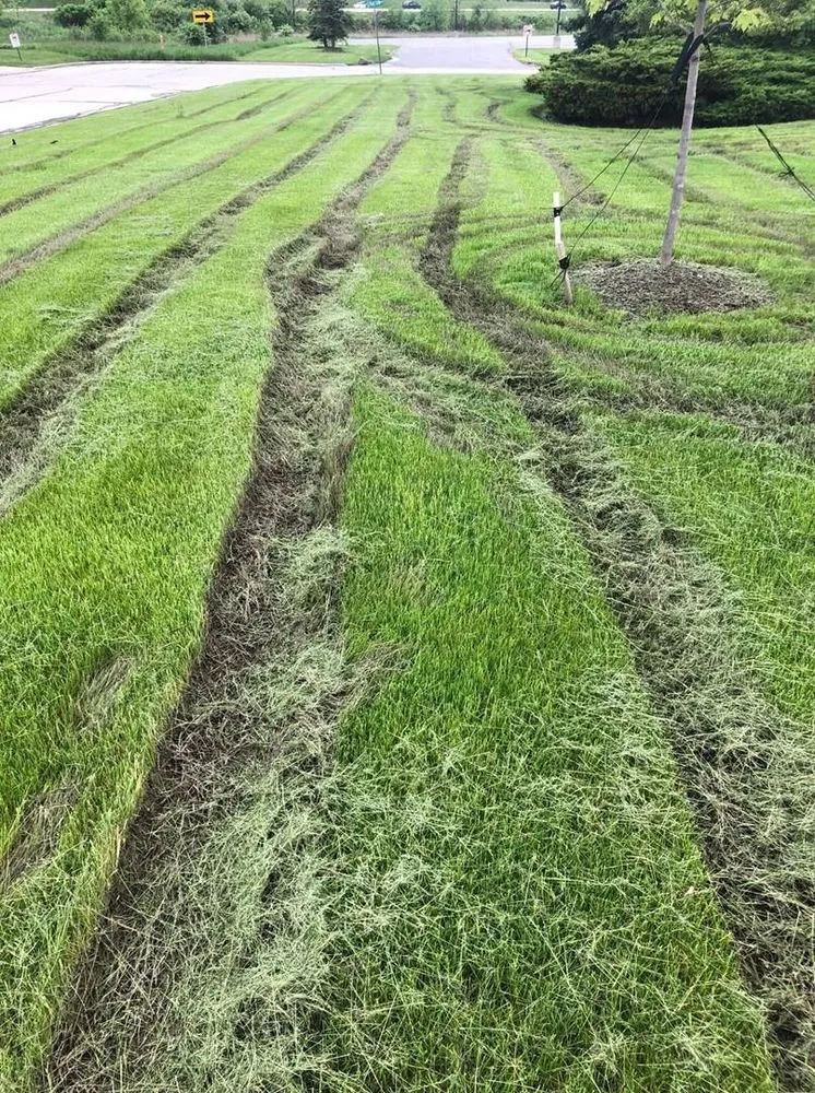 Local landscaping services near you in Bartlett, IL by Sebert Landscaping