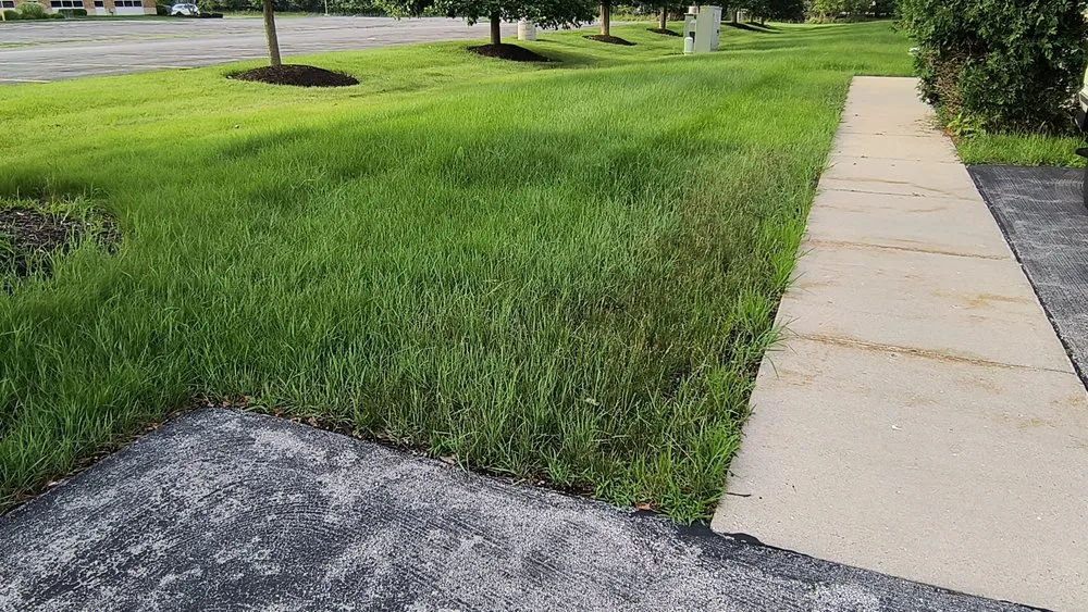 Affordable lawn care service in Bartlett, IL by Sebert Landscaping
