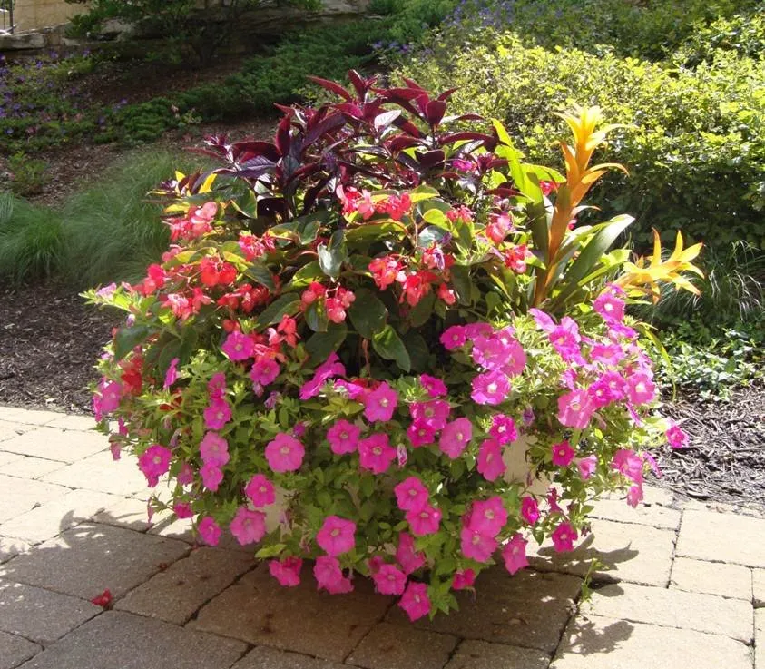 Expert landscape design in Bartlett, IL - Sebert Landscaping