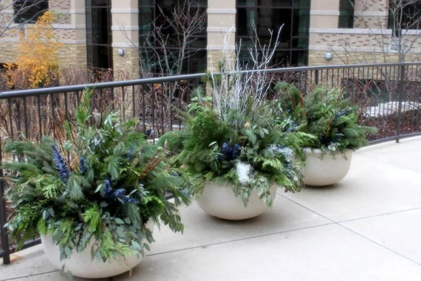 Top-rated garden landscaping for beautiful yards across Bolingbrook, IL - Sebert Landscaping