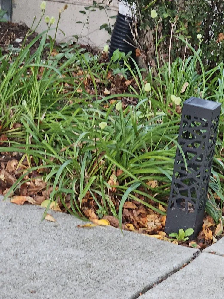 Affordable residential landscaping experts serving Bolingbrook, IL - Sebert Landscaping