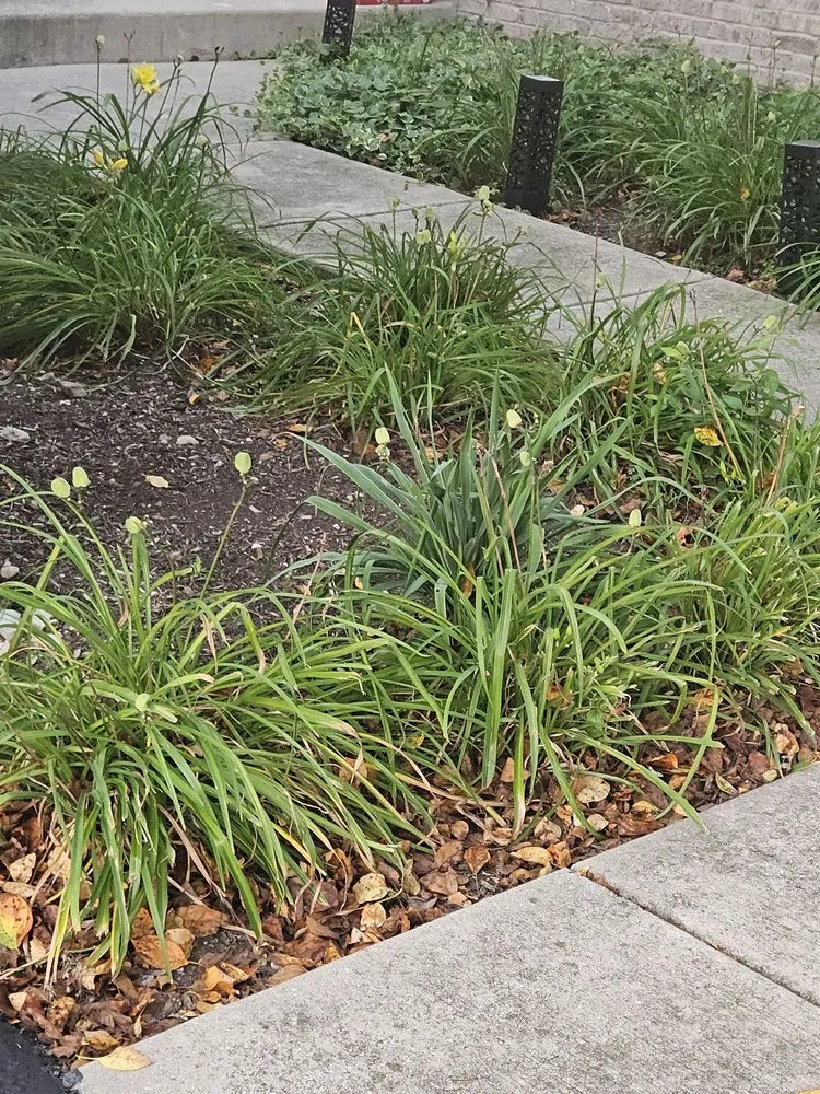 Affordable lawn mowing service for homes in Bolingbrook, IL by Sebert Landscaping